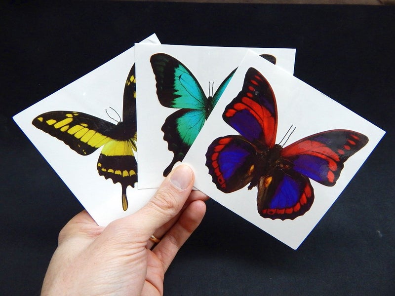 Butterfly Utopia Large Butterfly Temporary Tattoos by Butterfly Utopia (12 Sheets) - Image 4